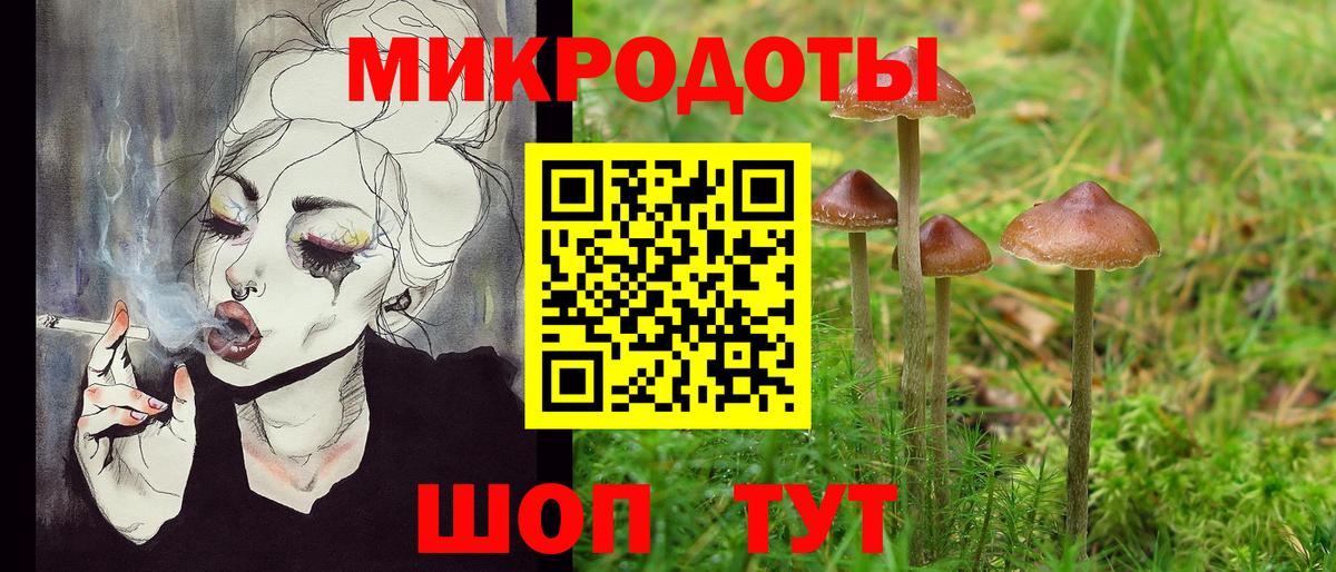 даркнет сайт  Галлюциногенные грибы ЛСД  Вход с VPN  Шали  Галлюциногенные грибы Magic Shrooms 