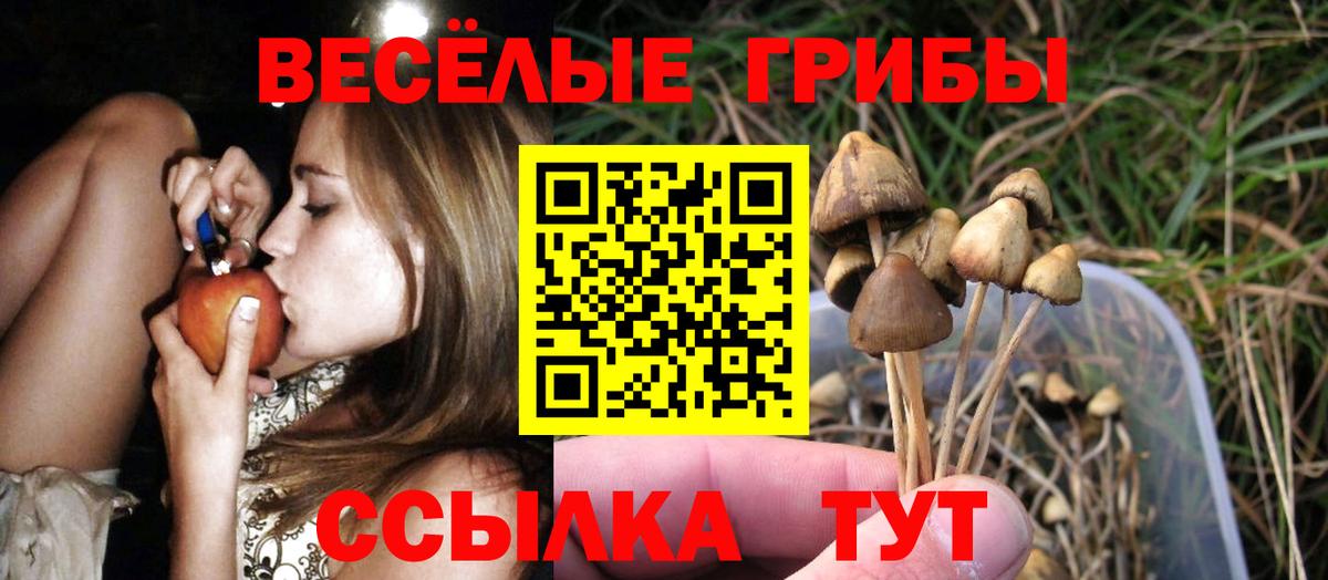 Галлюциногенные грибы мицелий Шали